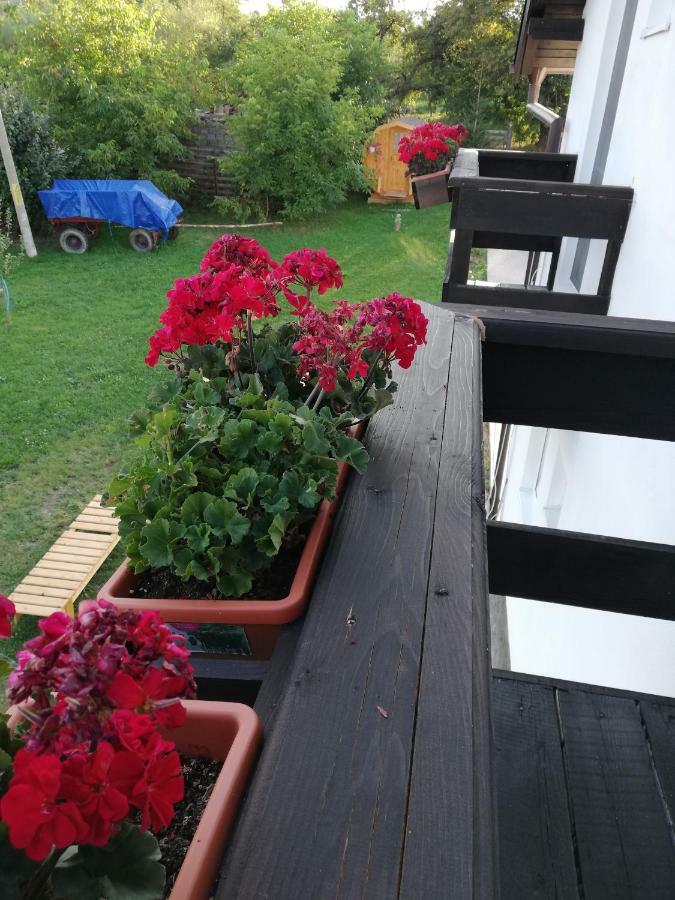 Elder Villa Bran  Eksteriør billede
